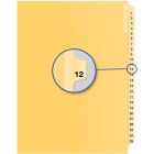 Index juridique individuel numérique #12