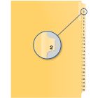 Index juridique individuel numérique #2