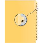 Index juridique individuel numérique #30