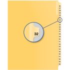 Index juridique individuel numérique #32