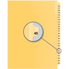 Index juridique individuel numérique #45