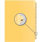 Index juridique individuel numérique #47