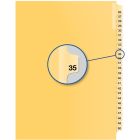 Index juridique individuel numérique #35