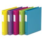 Reliure à anneaux 1 po. (capacité de 225 feuilles)