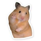 Autocollant de vinyle - hamster peace