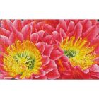Broderie de diamants - floraison du désert