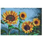 Ensemble de perles hama - tournesols
