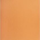Carton de couleur orange