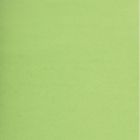 Carton de couleur vert pâle