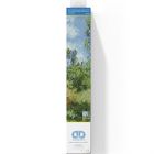 Broderie de diamants - vue de vétheuil (monet)
