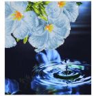 Goutte d'eau