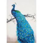 Paon bleu