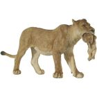 Lionne avec lionceau