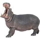 Hippopotame adulte