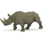 Rhinoceros noir