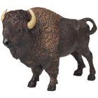 Bison d'amérique