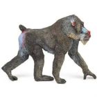Mandrill