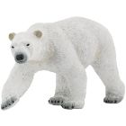 Ours polaire