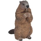Marmotte
