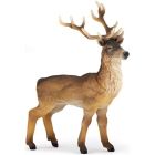 Cerf