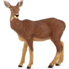 Biche