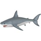 Requin blanc