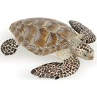 Tortue caouanne