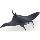 Raie manta