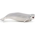 Beluga