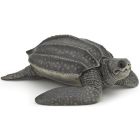 Tortue luth
