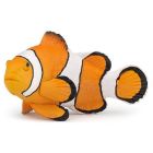 Poisson clown