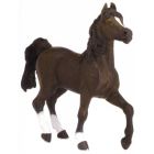 Cheval arabe