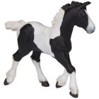 Poulain cob noir