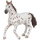Jument apaloosa