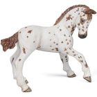 Poulain apaloosa