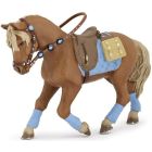 Cheval du jeune cavalier