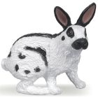 Lapin papillon