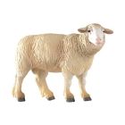 Brebis merinos