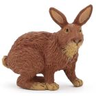 Lapin marron