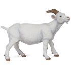 Chèvre blanche