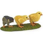Poussins