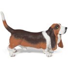 Basset hound