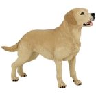 Labrador