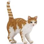 Chat roux