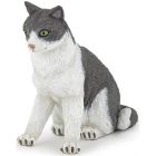 Chatte assise