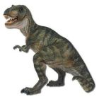 Tyrannosaure rex