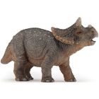 Jeune tricératops