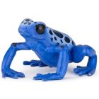 Grenouille équatoriale bleue