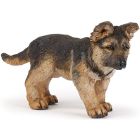 Bébé berger allemand
