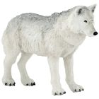 Loup polaire